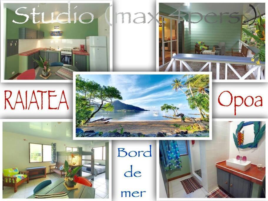 Raiatea, Opoa, Studio Du Fare Reve, Acces Mer Privatif Exterior photo